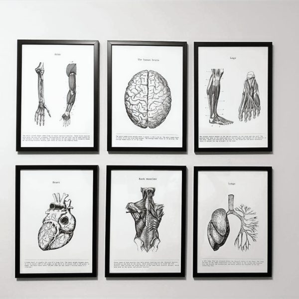 osteopatía y técnicas de Medicina China para un bienestar completo.