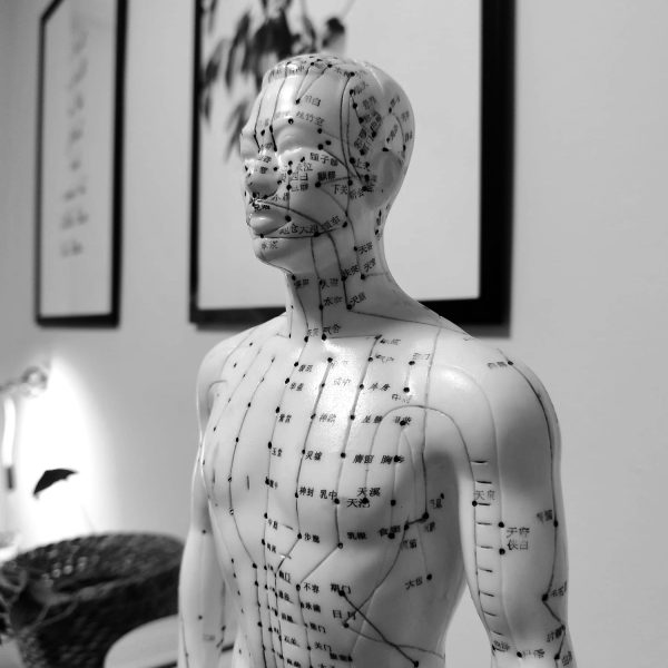 Tratamientos que combinan osteopatía y acupuntura para un bienestar total.